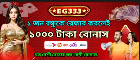 EG333 interface screenshot