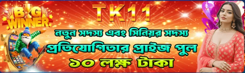 Tk11 interface screenshot