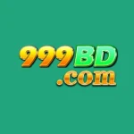 999BD Game logo