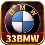 33BMW logo