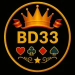BD33 logo