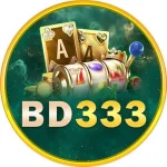 BD333 logo